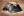 Mood Image